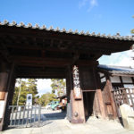 ふらっと京都で天龍寺と妙心寺の雲龍図の見比べツアー