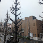 季節外れ？の雪が降ってまた寒くなった東京