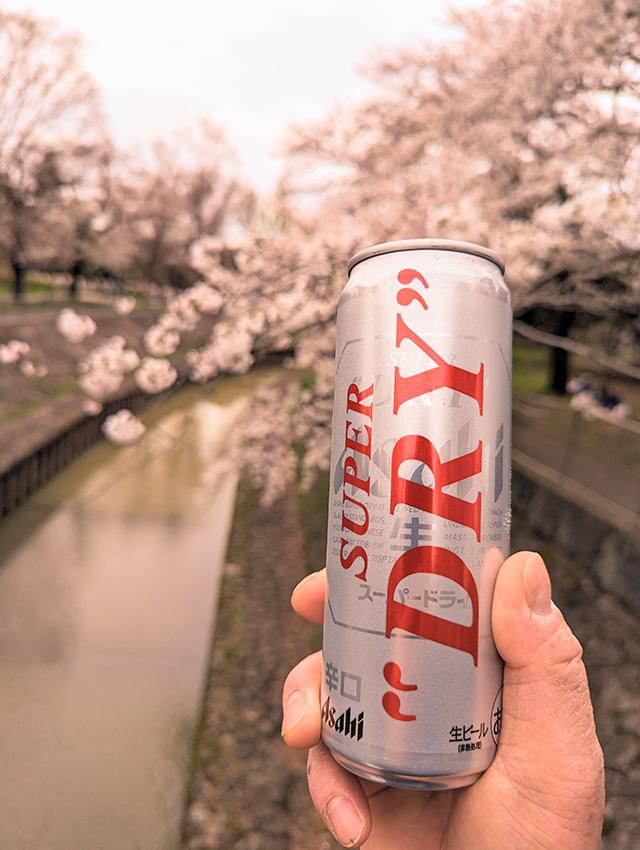 今年も善福寺川緑地の桜は満開