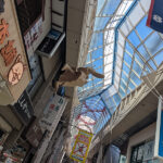七夕の準備が始まった阿佐ヶ谷のパール商店街と深夜の高速で関西へ