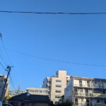 いよいよ秋到来で乾いた風が心地よかったので洗濯物も良く乾きそうな感じ