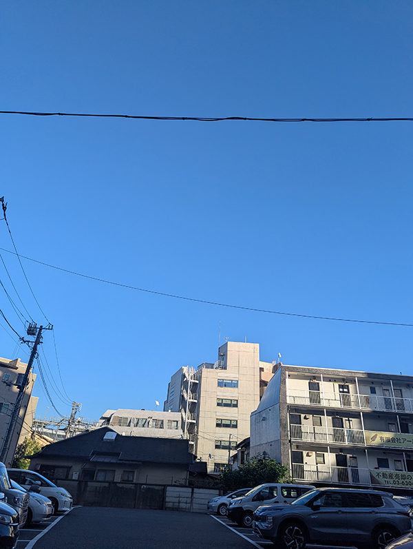 いよいよ秋到来で乾いた風が心地よかったので洗濯物も良く乾きそうな感じ