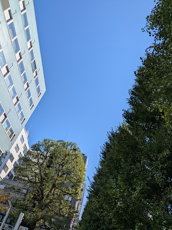 練習スタジオのマーシャルのツマミ文字がかすれて読めない問題