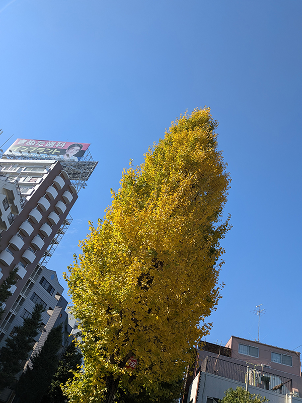 hidaviciousのライブを観に高円寺ShowBoatへ行ってきた