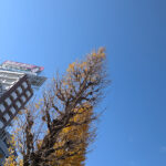 冬晴の空と近所でごはん