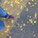 東高円寺で呑みながら海太とSHACHIの来年の話をしてきた