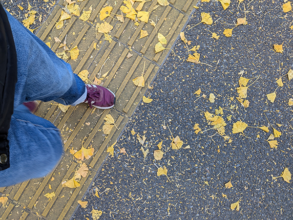 東高円寺で呑みながら海太とSHACHIの来年の話をしてきた