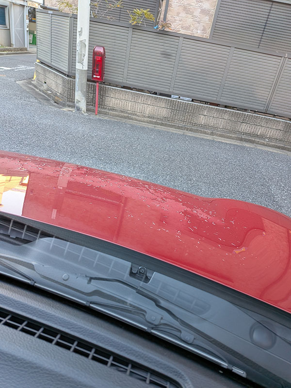 一瞬だけ帰省して実家の餅つきのお手伝い