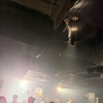 DARUDEMATIANの2025年ラストライブは新宿ACBの千秋楽