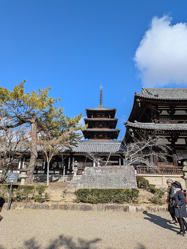 やっと行けた念願の奈良のニコトのカレー