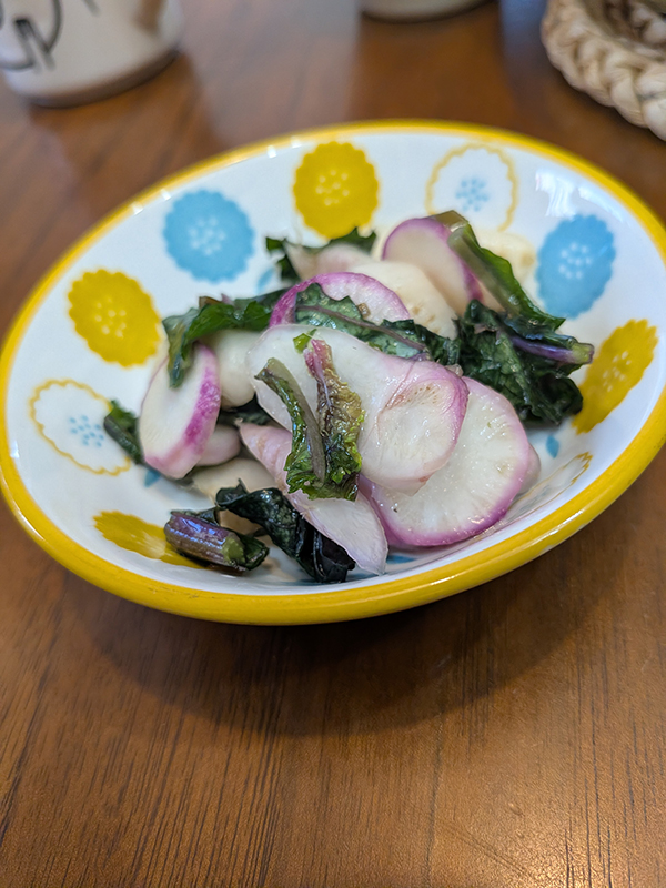 体調を崩した日曜日は大人しく家にいる