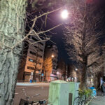 怒涛の4日間を終えて一気に現実に戻る水曜日