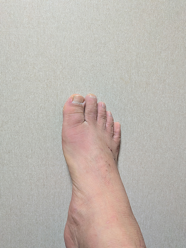 総武線に乗ってラストヒサトミの市川と両国SUNRIZEのハシゴ