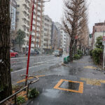 今年最後であってほしい雪降る東京とカレー鍋膳