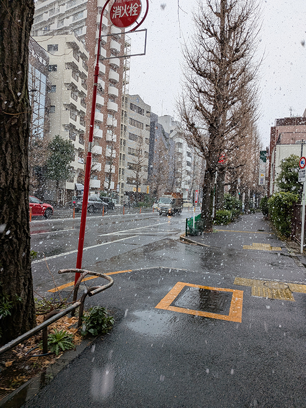 今年最後であってほしい雪降る東京とカレー鍋膳